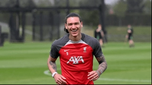 Darwin Núñez, forward of Liverpool